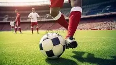 杏彩娱乐 资讯 094351 fw5